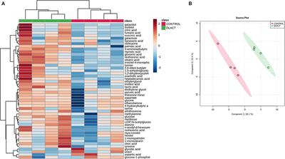 Metabolic Reprogramming and Inflammatory Response Induced by D-Lactate in Bovine Fibroblast-Like Synoviocytes Depends on HIF-1 Activity